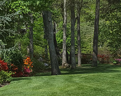 Lawn Care Glassboro, NJ