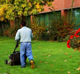 Lawn Maintenance