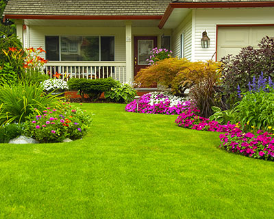 Lawn Restoration Glassboro, NJ