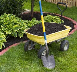 Mulching Services