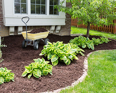 Mulching Glassboro, NJ
